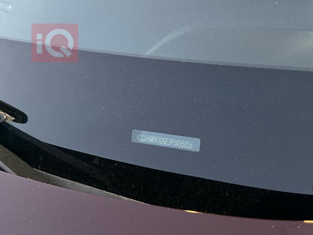 هیوندای پالیسەید